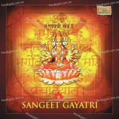 Gayatri Mantra - Raag Gorakh Kalyan 1 - Ashit Desai album cover 