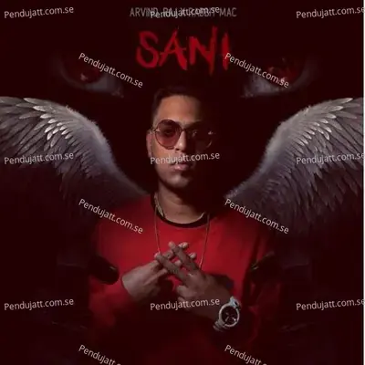 Sani - Arvind Raj album cover 