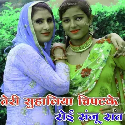 Sanju Ki Suhaliya - XT IRFAN ALWAR album cover 