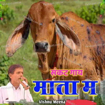 Sankat Gay Mata Mein - Vishnu Meena album cover 