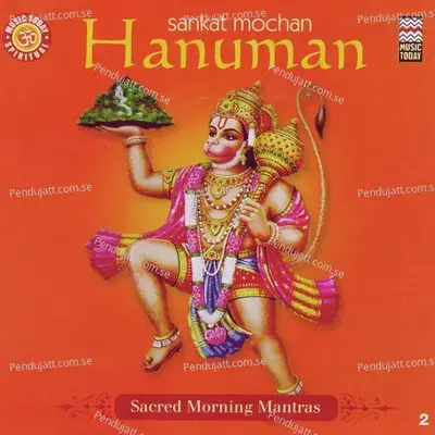 Sankatmochan Hanumanashtak - Rajan And Sajan Mishra album cover 