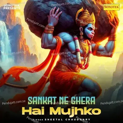 Sankat Ne Ghera Hai Mujhko - Sheetal Chaudhary album cover 