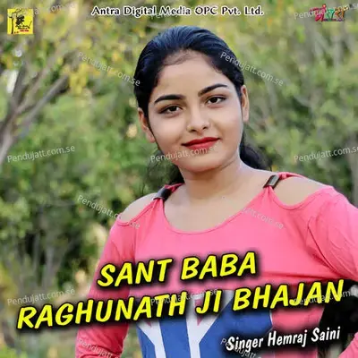 Sant Baba Raghunath Ji Bhajan - Hemraj Saini album cover 