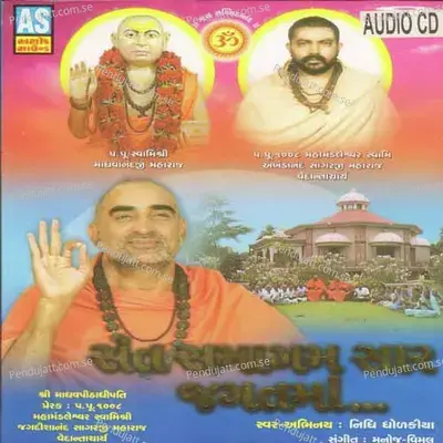 Sane Chinta Kare Tu Man Maa - Nidhi Dholakiya album cover 