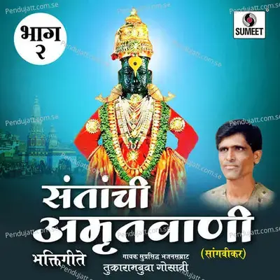 Pail Mairuche Shikhari - Tukarambuva Gosavi album cover 