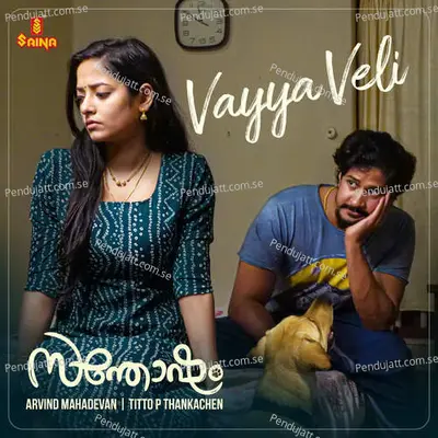 Vayya Veli - Arvind Mahadevan album cover 