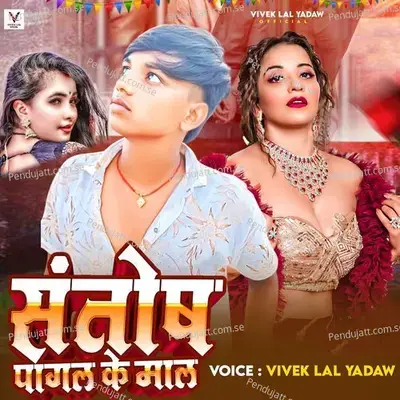 Santosh Pagal Ke Maal - Vivek Lal Yadav album cover 
