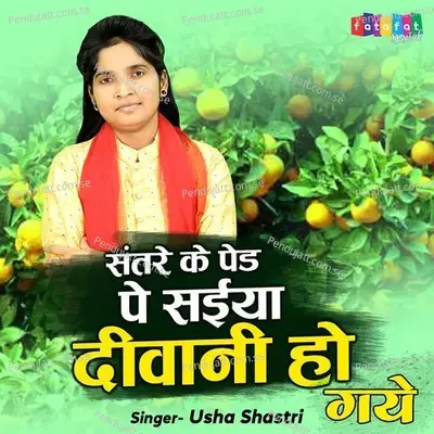 Santre Ke Paid Pe Saiya Diwani Ho Gaye - Usha Shastri album cover 