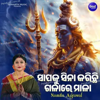 Sapaku Sina Karichi Galare Mala - Namita Agrawal