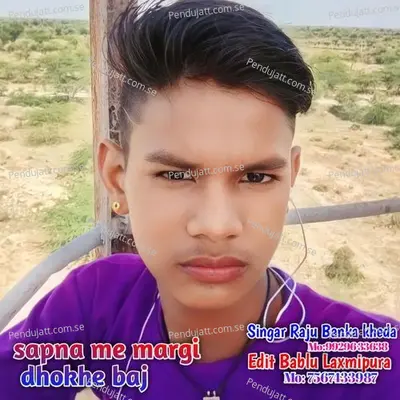 Sapna Me Margi Dhoke Baje - Raju Banka Kheda album cover 