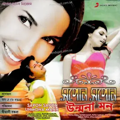 Maa Tumi - Paplu album cover 