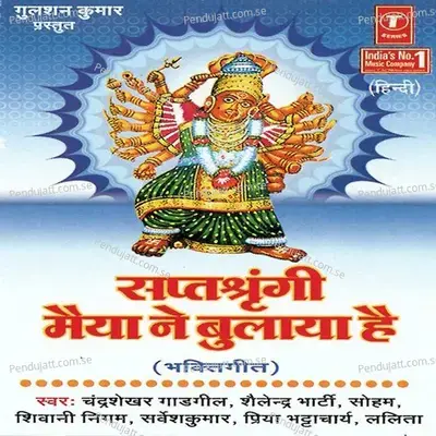 Mahishasur Mardini Tere Darbar Mein - Rakesh Trivedi album cover 