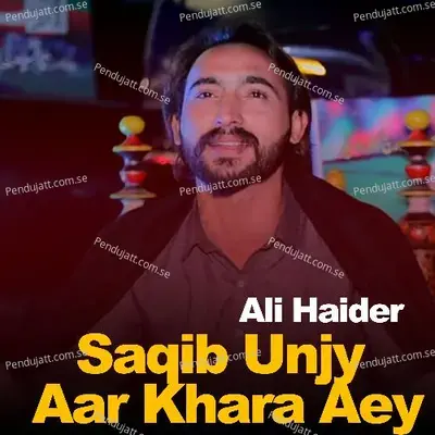 Saqib Unjy Aar Khara Aey - Ali Haider album cover 