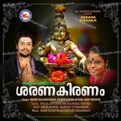 Pambayude Neerozhukkil - Baby Hridhya album cover 