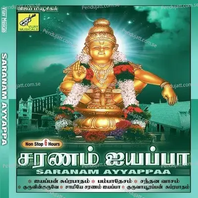 Gokula Naathaa - Krishna Raj album cover 