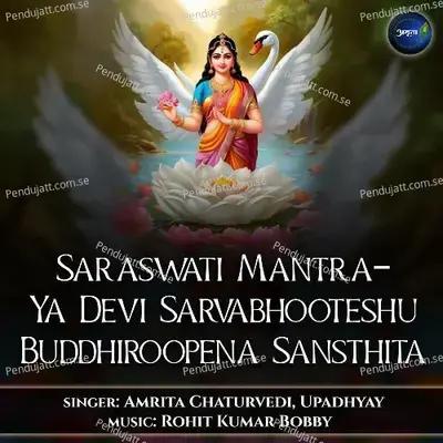 Saraswati Mantra-Ya Devi Sarvabhooteshu Buddhiroopena Sansthita - Amrita Chaturvedi album cover 