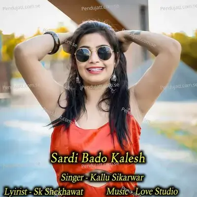 Sardi Bado Kalesh - Kallu Sikarwar album cover 