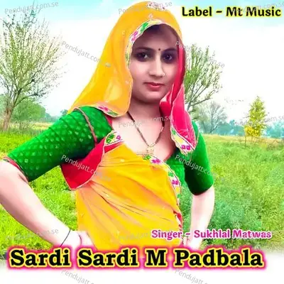 Sardi Sardi M Padbala - Sukhlal Matwas album cover 