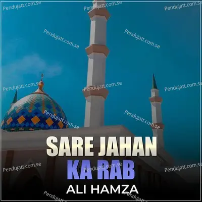 Sare Jahan Ka Rab - Ali Hamza album cover 