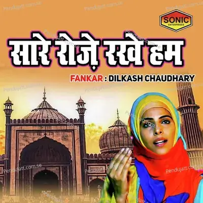 Sare Roje Rakhe Ham - Dilkash Chaudhary album cover 