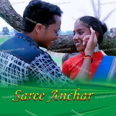 Saree Anchar - Digan Layak album cover 