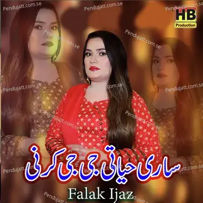 Sari Hayati Je Je Karni - Falak Ijaz album cover 