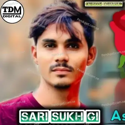 Sari Sukh Gi - Tahseem Dehangal album cover 