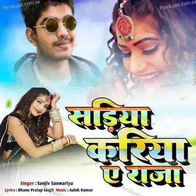 Sariya Kariya Ae Raja - Sanjiv Sanwariya