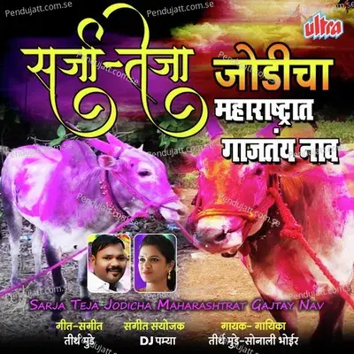 Sarja Teja Jodicha Maharashtrat Gajtay Naav - Teerth Munde album cover 