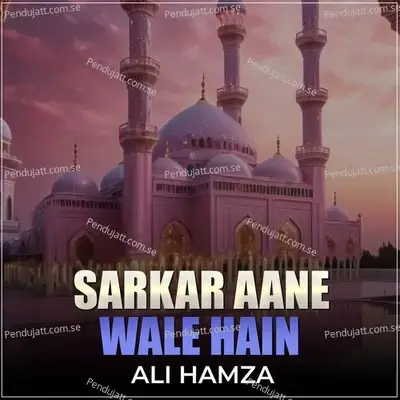 Sarkar Aane Wale Hain - Ali Hamza album cover 