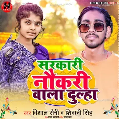 Sarkari Naukari Wala Dulha - vishal saini album cover 