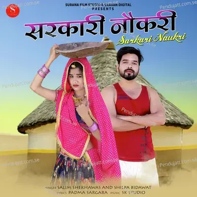 Sarkari Naukri - Salim Shekhawas album cover 