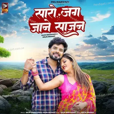 Saro Jag Jaane Sajan - Salim Shekhawas album cover 
