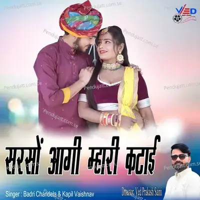 Sarso Aagi Mhari Ktai - Badri Chandela album cover 