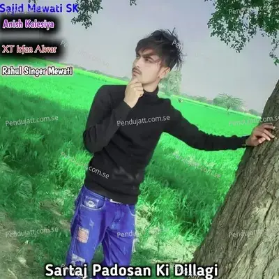 Sartaj Padosan Ki Dillagi - Anish Kalesiya album cover 