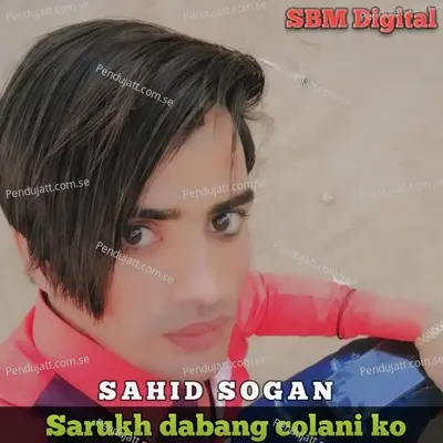 Sarukh Dabang Colani Ko - Sahid Sogan album cover 
