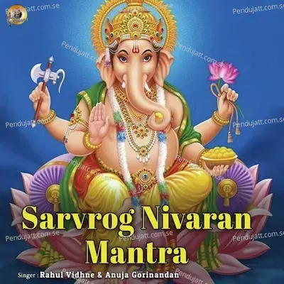 Sarvrog Nivaran Mantra - Anuja Gorinandan album cover 