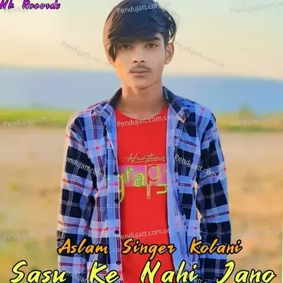 Sasu Ke Nahi Jano - Aslam Singer Mewati album cover 