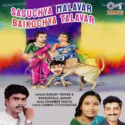 Kasa Saangu Me Bai Tule - Sanjay Tavade album cover 