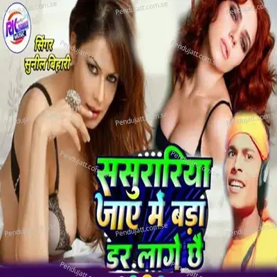 Sasurariya Jay Me Bara Dar Lage Chhai - Sunil Bihari album cover 