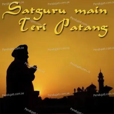 Satguru Main Teri - Swami Bhagat Ram album cover 