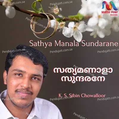Sathya Manala Sundarane - K S Sibin Chowalloor album cover 