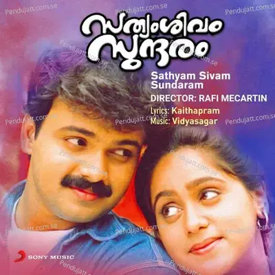 Walking In The Moonlight - Vidyasagar album cover 
