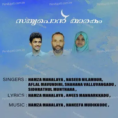 Sathyappon Thaarakam - Naseeb Nilambur album cover 