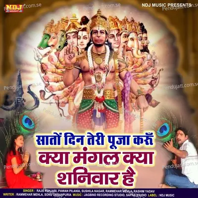 Sato Din Teri Puja Karu Kya Mangal Kya Suniwar Hai - Raju Punjabi album cover 