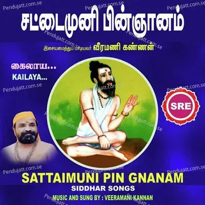 Kailaya - Veeramani Kannan album cover 