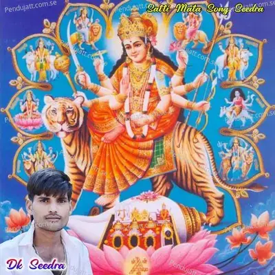 Satti Mata Song Seedra - Raju Meena Koliwada album cover 