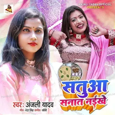 Satuwa Sanat Naikhe - Anjali Yadav album cover 