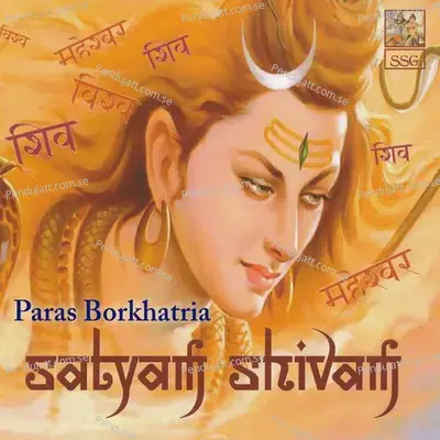 Jai Shiv Shankar - Paras Borkhatria album cover 