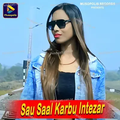 Sau Saal Karbu Intezar - Shahzad Ali album cover 